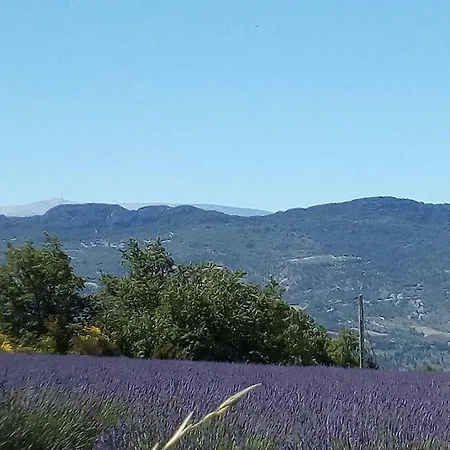 La Fleur D Olivier 度假居 尼翁